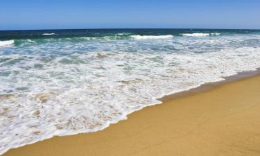 Appartementen in Avoca Beach