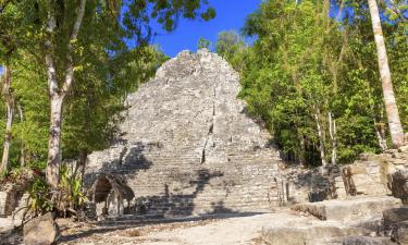 Hotéis que Aceitam Animais de Estimação em Cobá