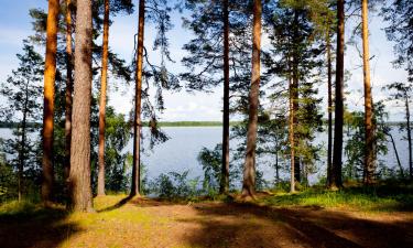 Majakesed sihtkohas Punkaharju