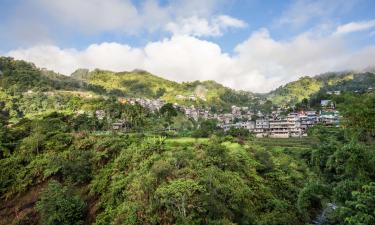 Hôtels acceptant les animaux domestiques à Banaue