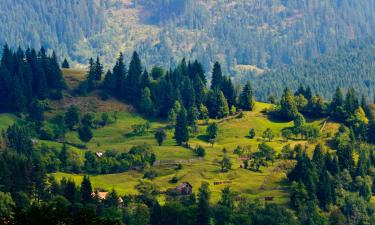 Kotedžai mieste Vatra Dornėjus