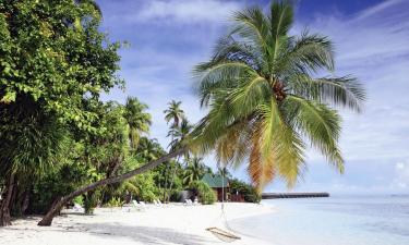 Alquileres vacacionales en la playa en Guraidhoo