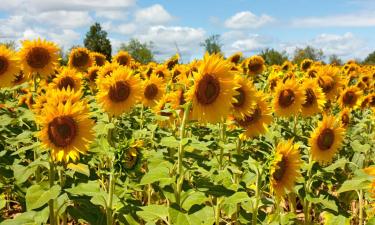 Loma-asunnot kohteessa Česká Skalice