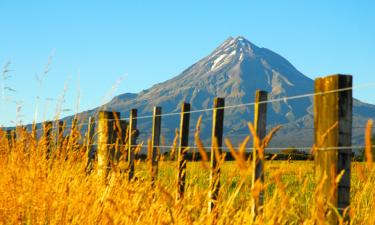 Billige ferier i New Plymouth