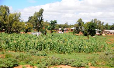 Goedkope hotels in Dodoma