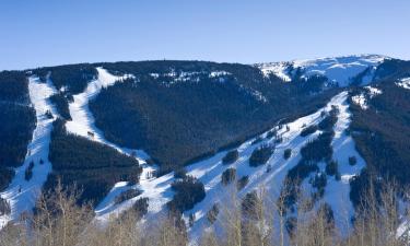 Haustierfreundliche Hotels in Beaver Creek