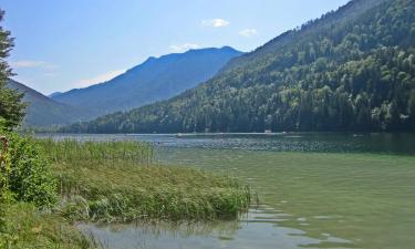 Lunz am See şehrindeki oteller