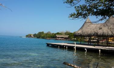 Hoteli u kojima su ljubimci dozvoljeni u gradu 'Isla Mucura'