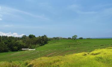 Hotels met Parkeren in Tegal