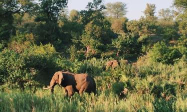 Alquileres vacacionales en Empangeni