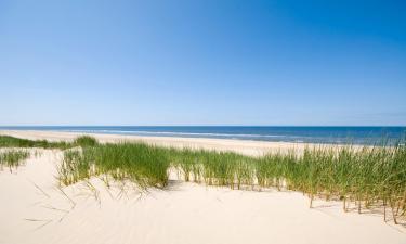 Ferieboliger ved stranden i Wijk aan Zee