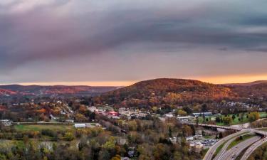 Ferieboliger i Binghamton