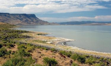 Hotels que accepten animals a Lakeview