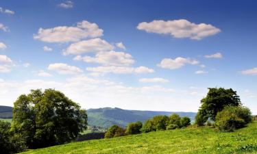 Bed and breakfasts en Rochefort