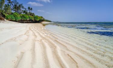 Hoteles de playa en Tiwi