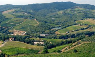 Smještaji na farmi u gradu 'Radda in Chianti'