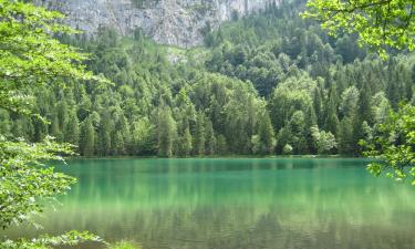 Sewaan Penginapan di Inzell