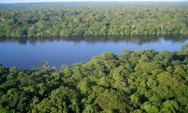 Mga hotel sa Tortuguero