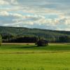 Vacation Rentals in Insjön