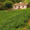 Pensiuni agroturistice în Seia