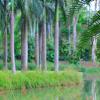 Chalet a Brumadinho