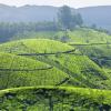 Mga hotel sa Munnar