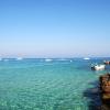 Hotels in Protaras