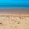 Alloggi vicino alla spiaggia a Whangaparaoa