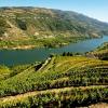 بيوت عطلات في Valença do Douro