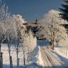 Svečių namai mieste Česka Kamenicė