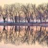 Hotels que accepten animals a Beaver Dam