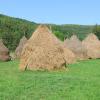 Casas de campo em Băile Tuşnad