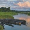 Hoteles en Sauraha