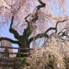 Budjettihotellit kohteessa Hirosaki