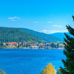 Titisee-Neustadt 90 locations de vacances