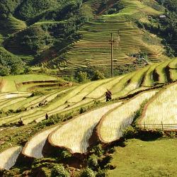 Lao Cai 3 chaty v prírode