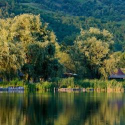 Dunajská Streda 7 cottages