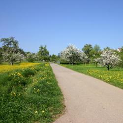 Moers 10 ferieboliger