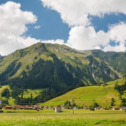 Holzgau 5 cottages