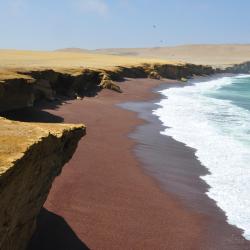 Paracas 12 vandrerhjem