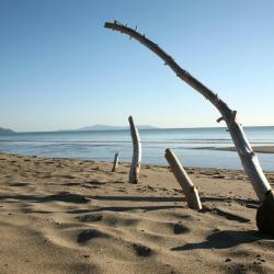 Follonica Turistične kmetije (5)