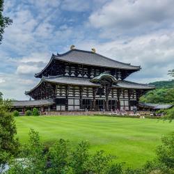 Nara 9 penginapan dengan onsen