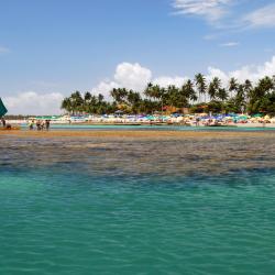 Porto de Galinhas 4 glampings