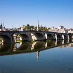 Blois 124 hoteluri