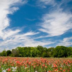 Boerne 4 bed and breakfasts