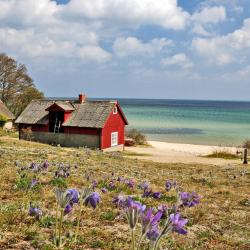 Kivik Smještaji uz plažu (4)