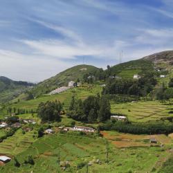 Ooty 150 cabanes i cottages