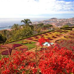 Funchal 8 chalets de montaña