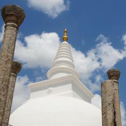 Anuradhapura 3 cabin