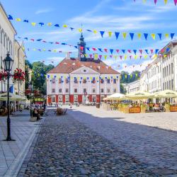 Tartu 5 vakantiewoningen aan het strand